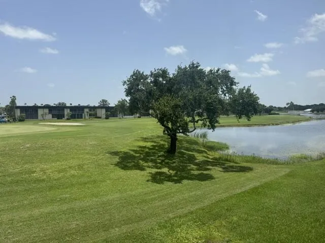 View from the Florida Room