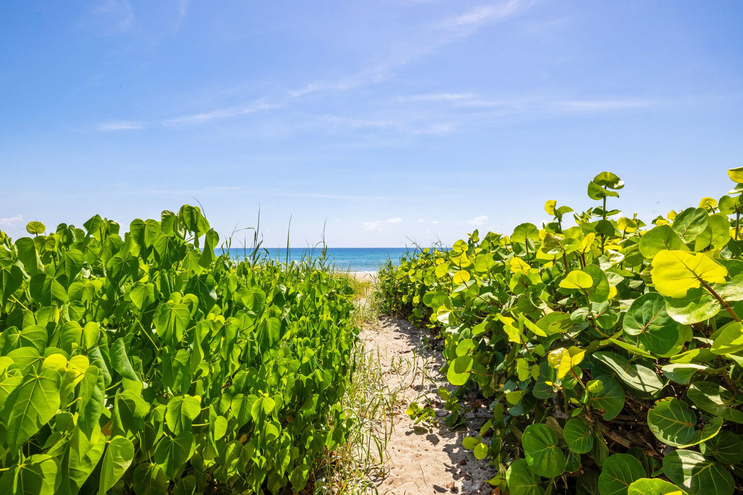 beach th