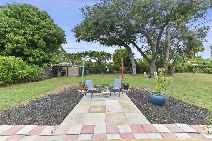 32 Backyard 01