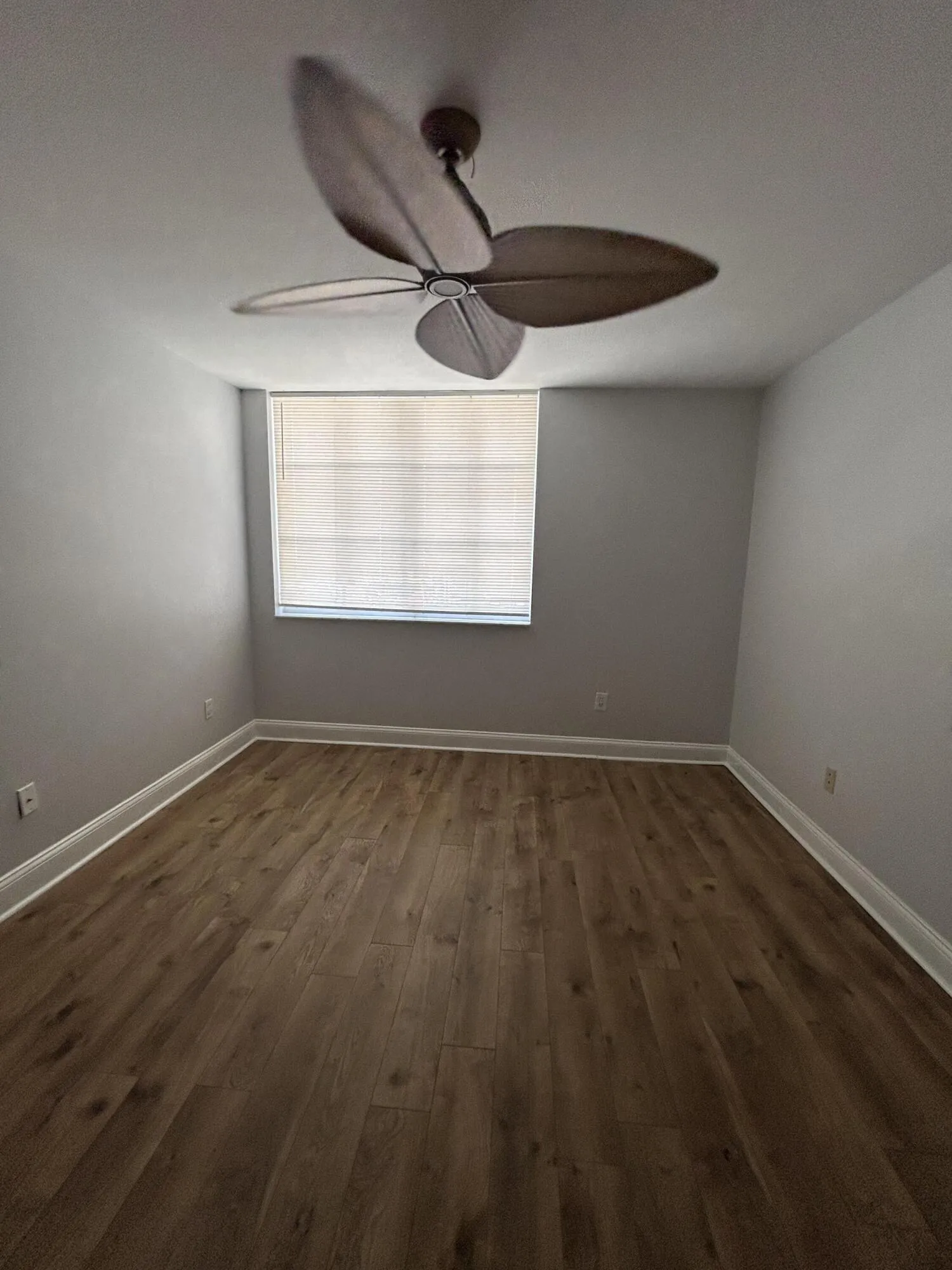 Room featuring wood-finish flooring, light grey walls, and white baseboards