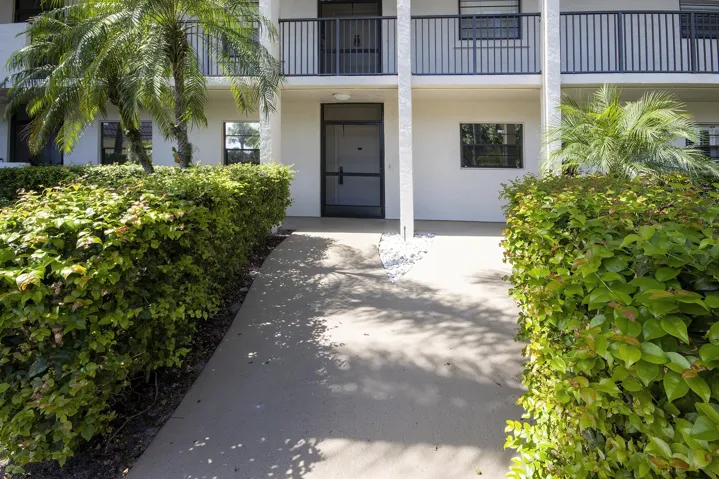 Concrete pathway with manicured hedges, mature palm trees, and a white stucco exterior