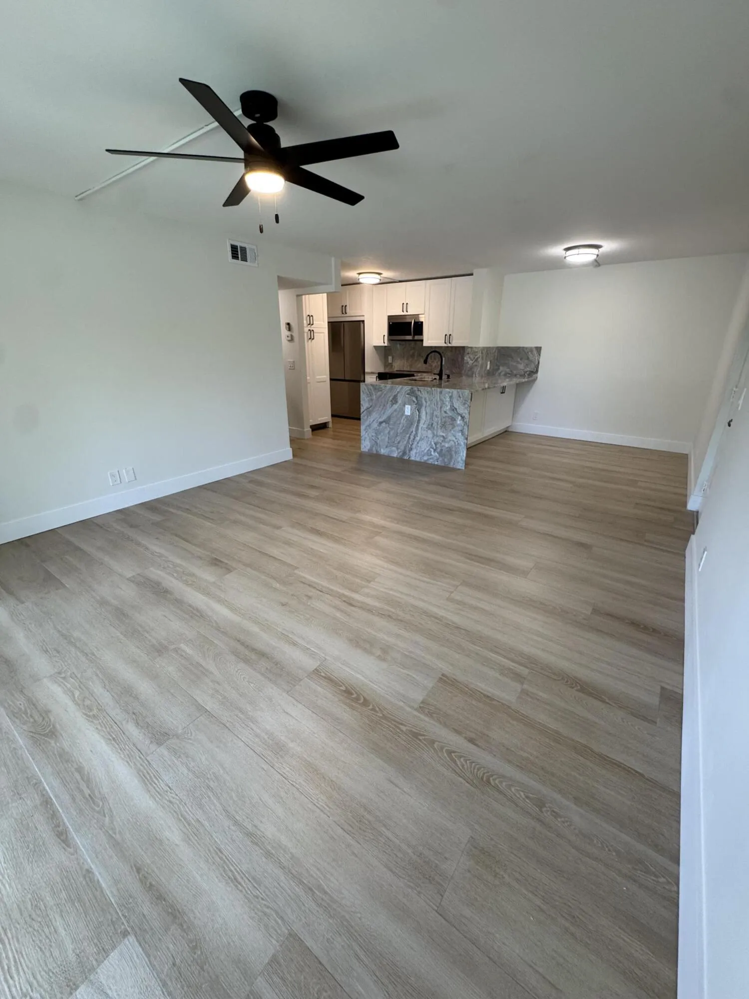 Open concept Living, Dining Kitchen