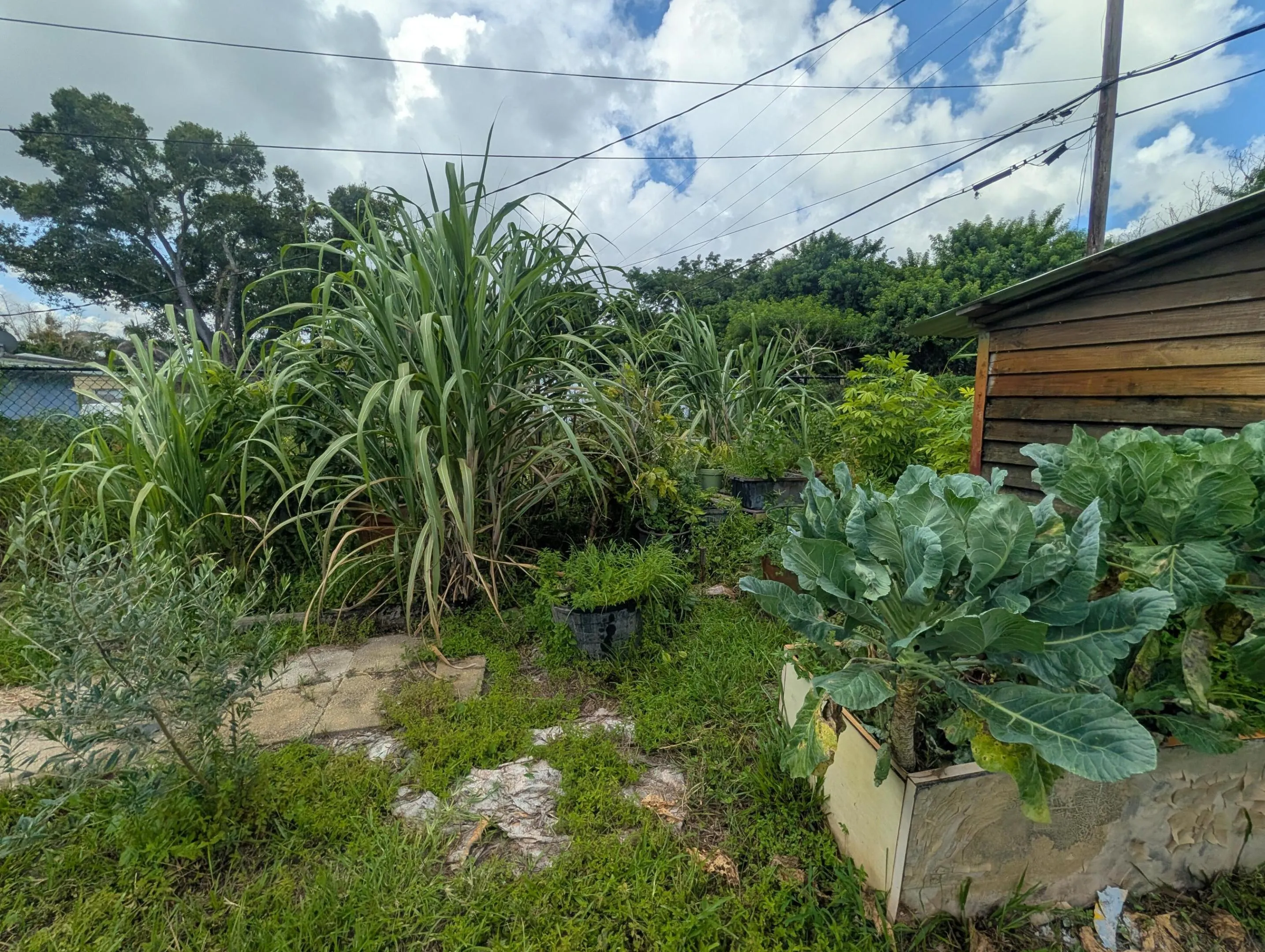 Property photo 39