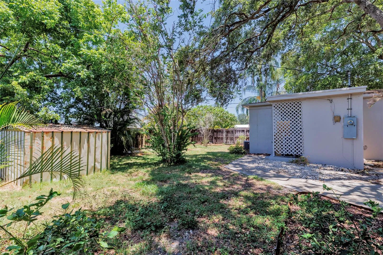 Backyard
