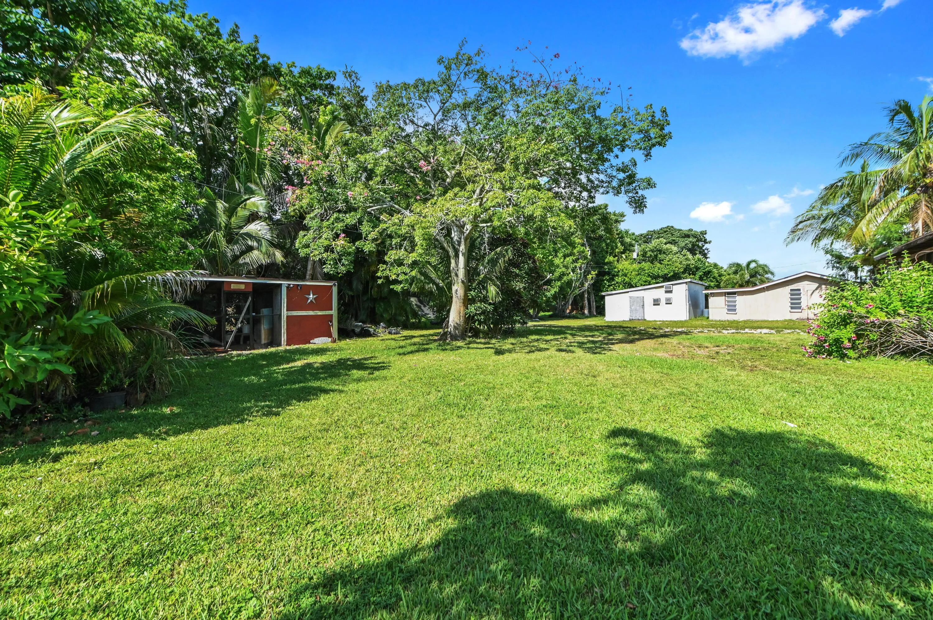 46 backyard 03