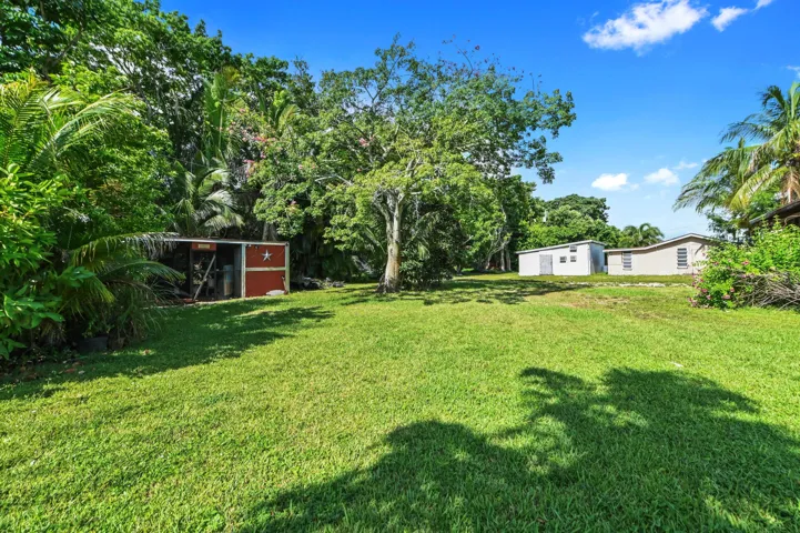 46 backyard 03