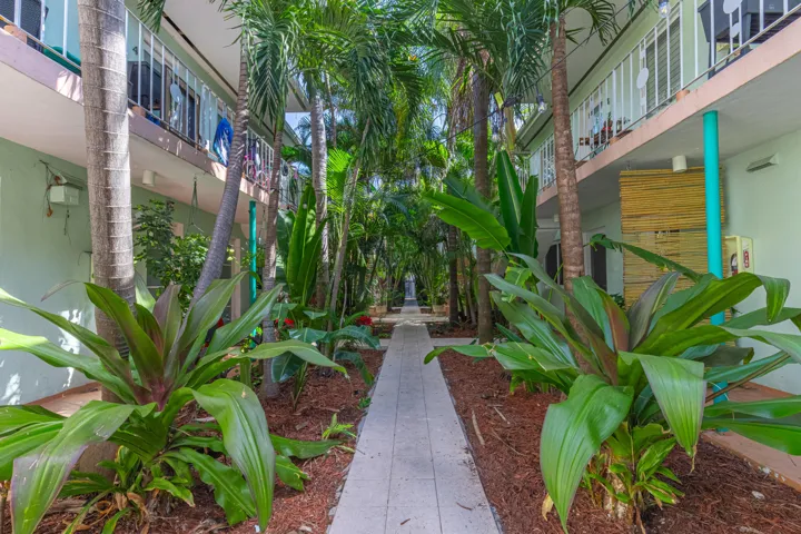 Walkway from gated entrance to the unit.