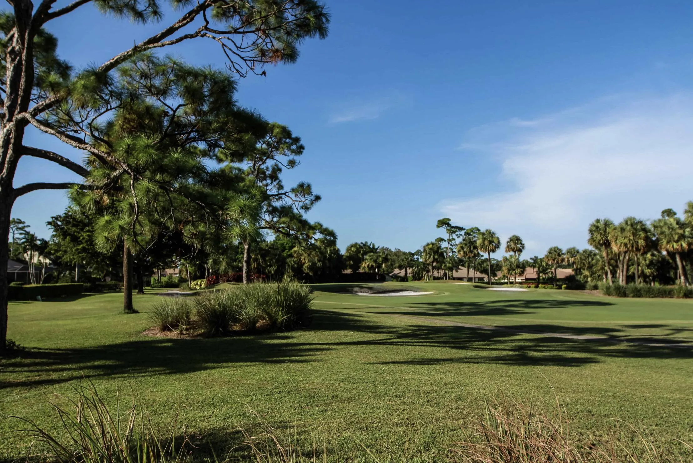 ATLANTIS GOLF!