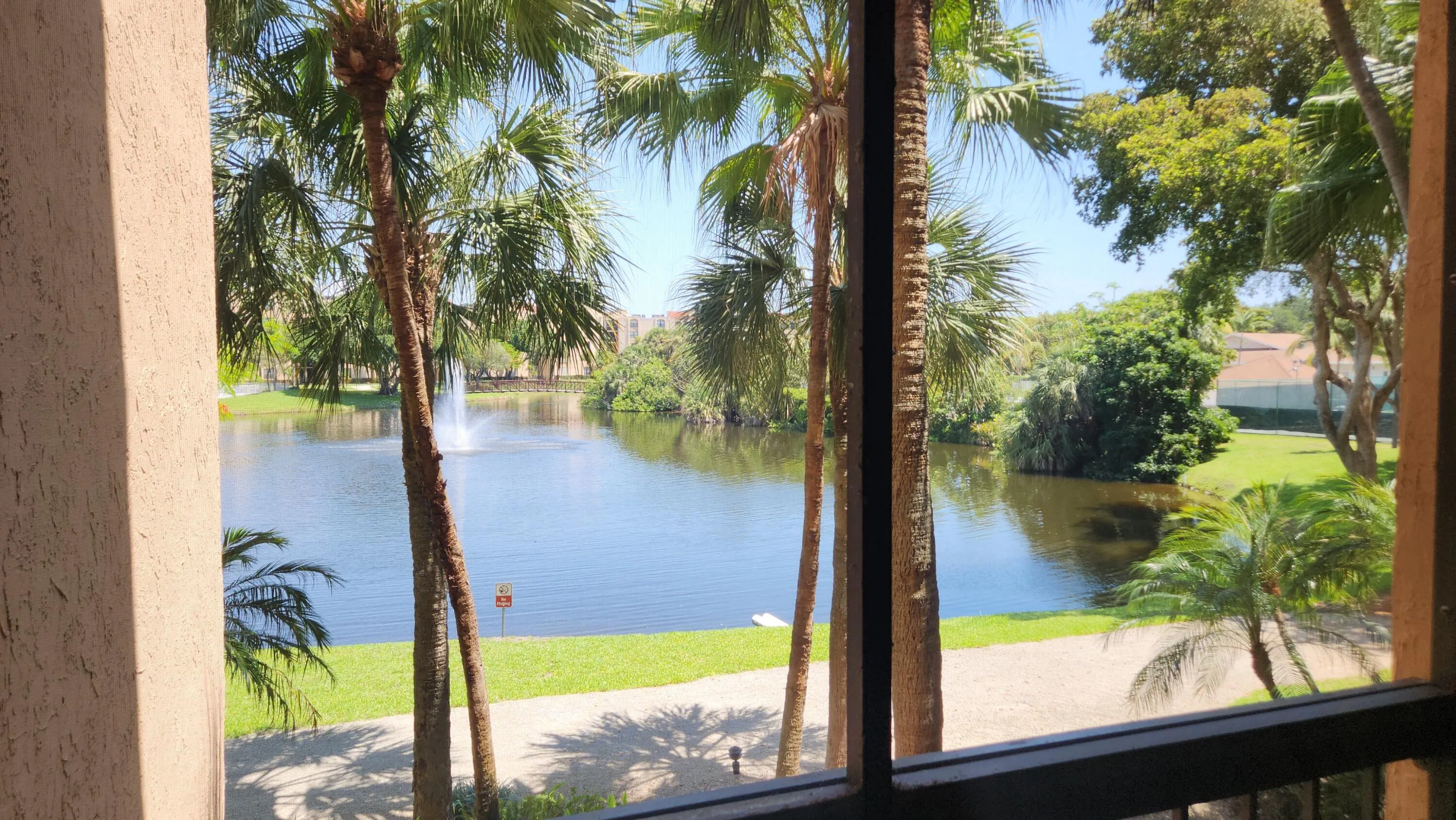 view