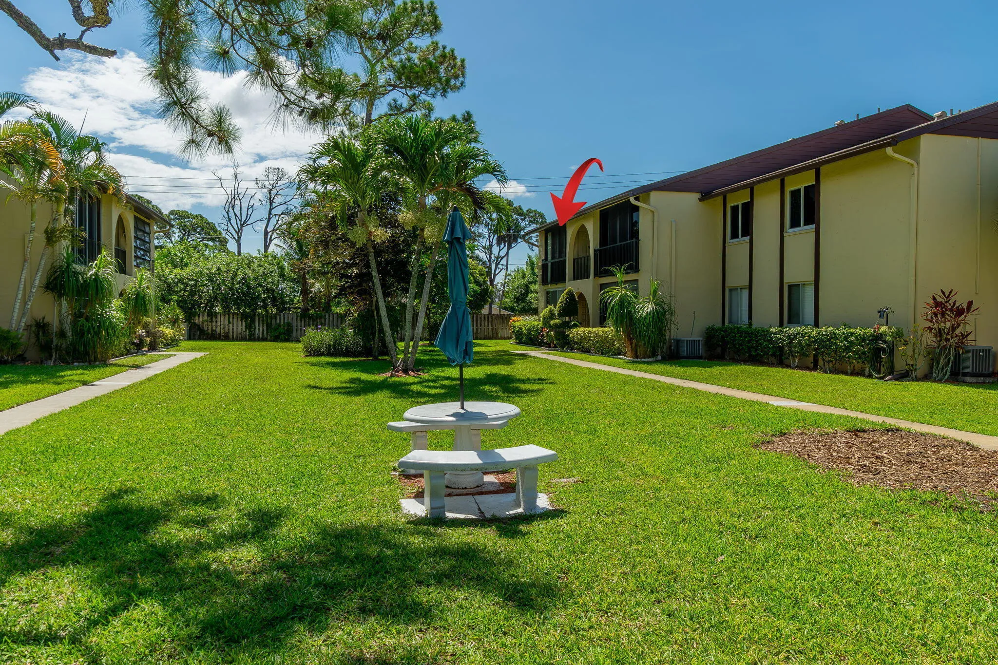 Manicured lawn area featuring mature palm trees and lush landscaping