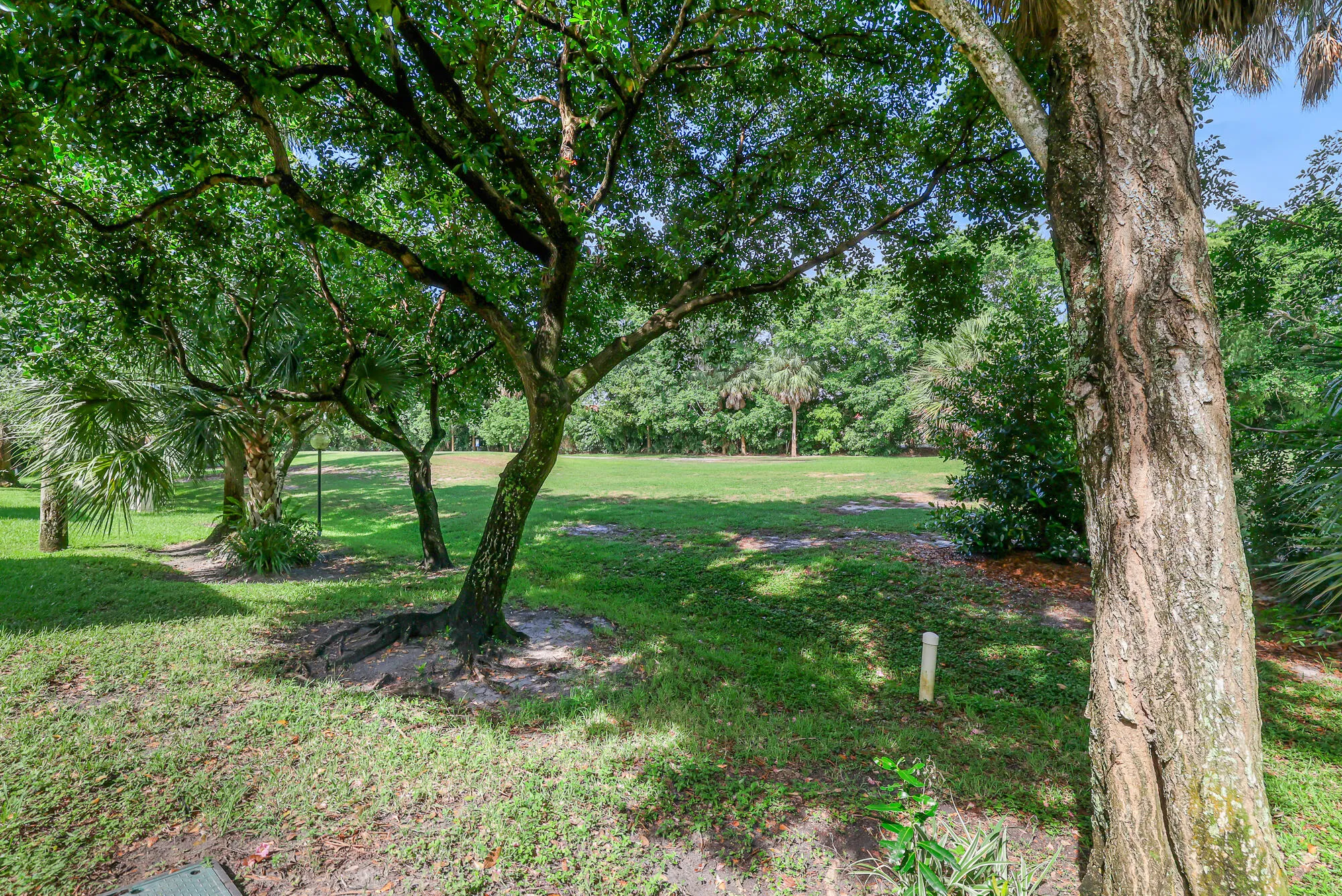 Garden views