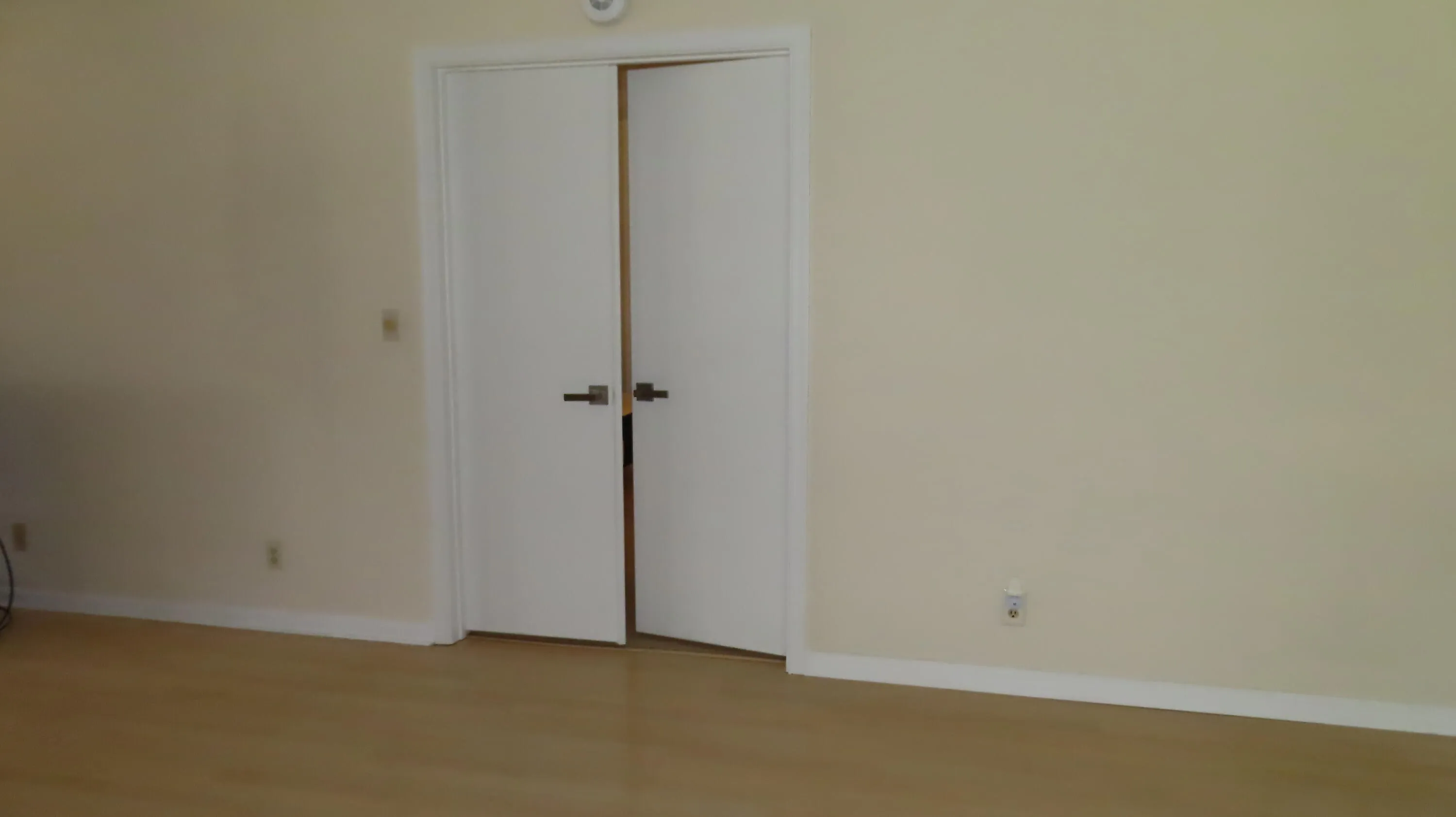 Double Door Entry to Master Bedroom