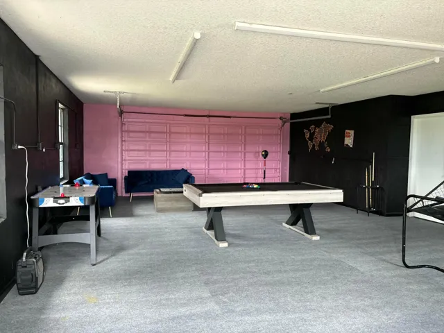 Flexible multi-purpose space featuring light gray carpet flooring and a painted pink garage door
