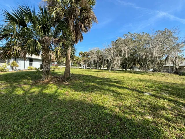 Expansive grassy lot featuring multiple mature palm trees and established oak trees with Spanish moss
