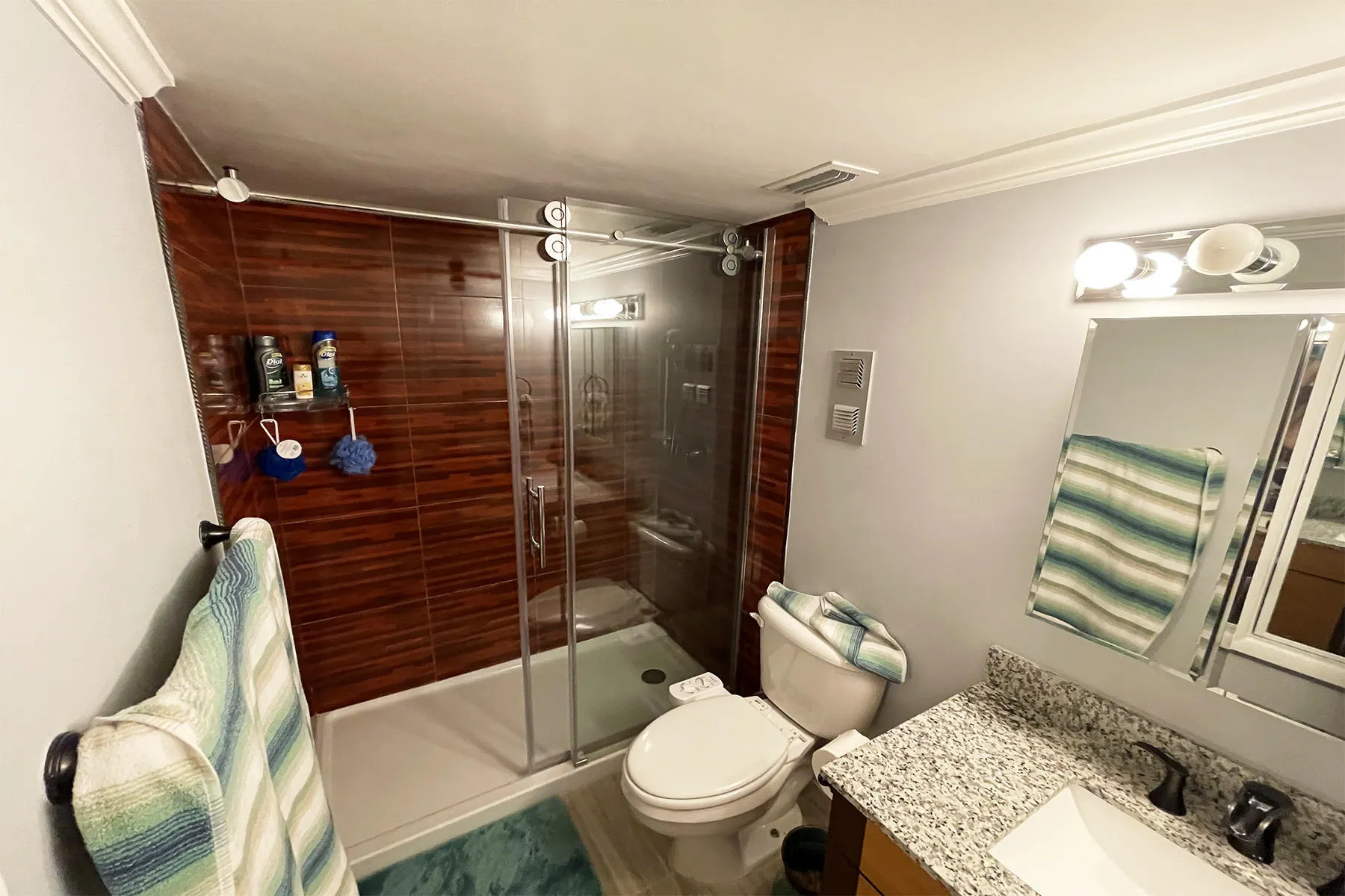 Full Bath to Shower