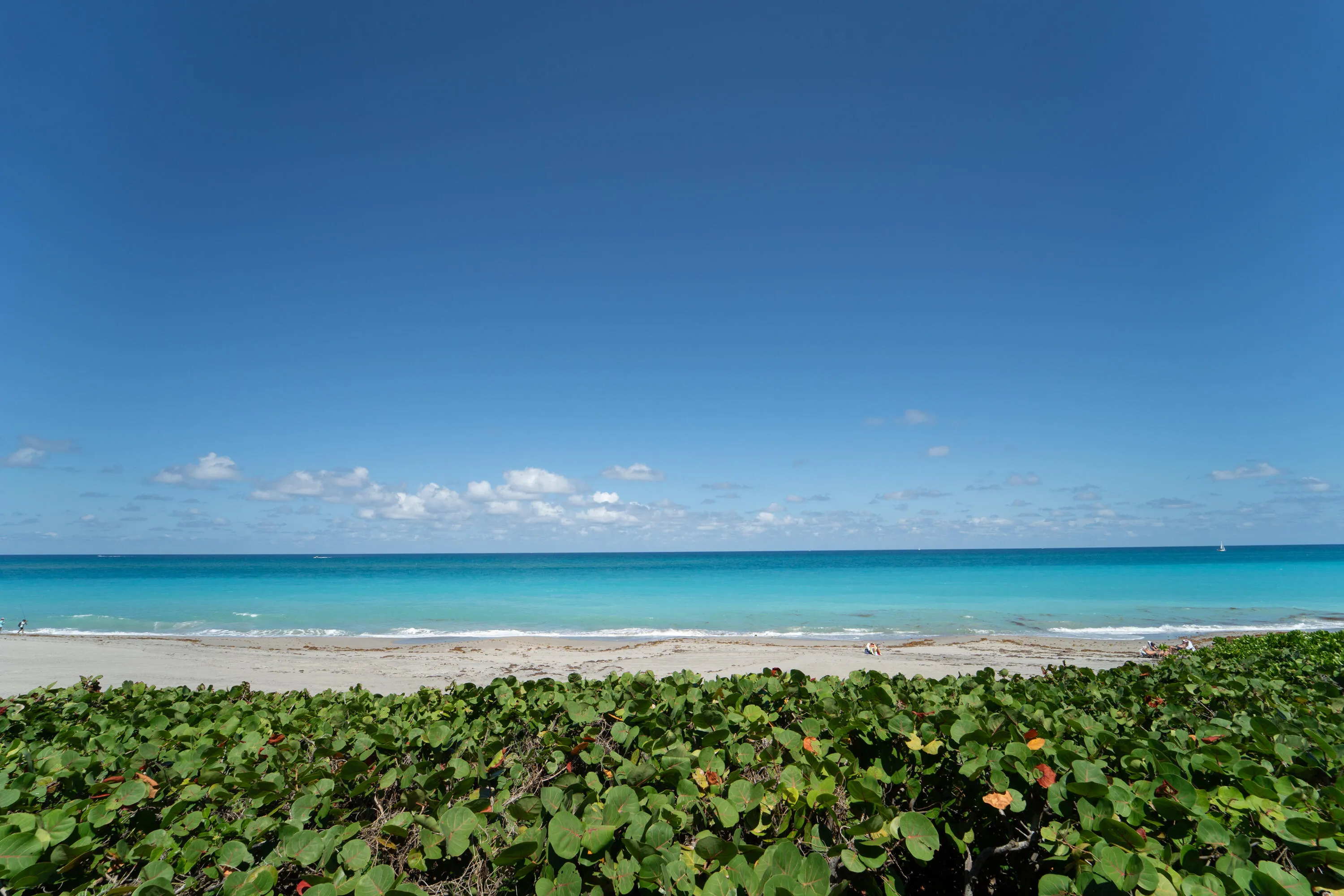 200oceantrailJupitero-7