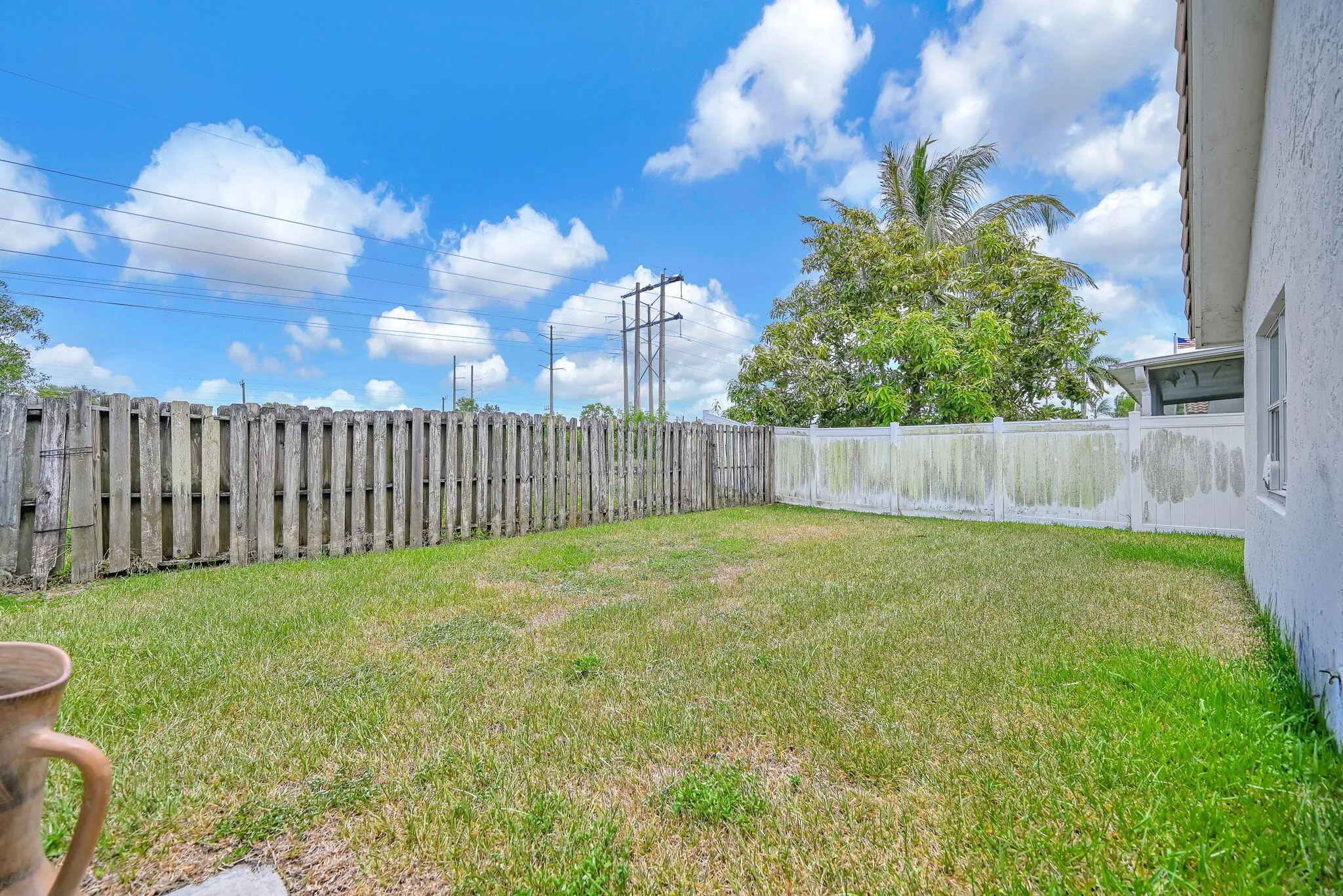 Expansive backyard