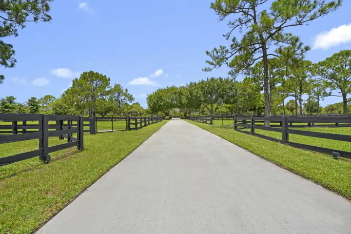 Driveway lined with paddocks