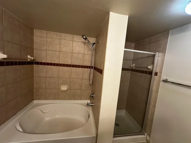 Primary bath tub, and separate shower