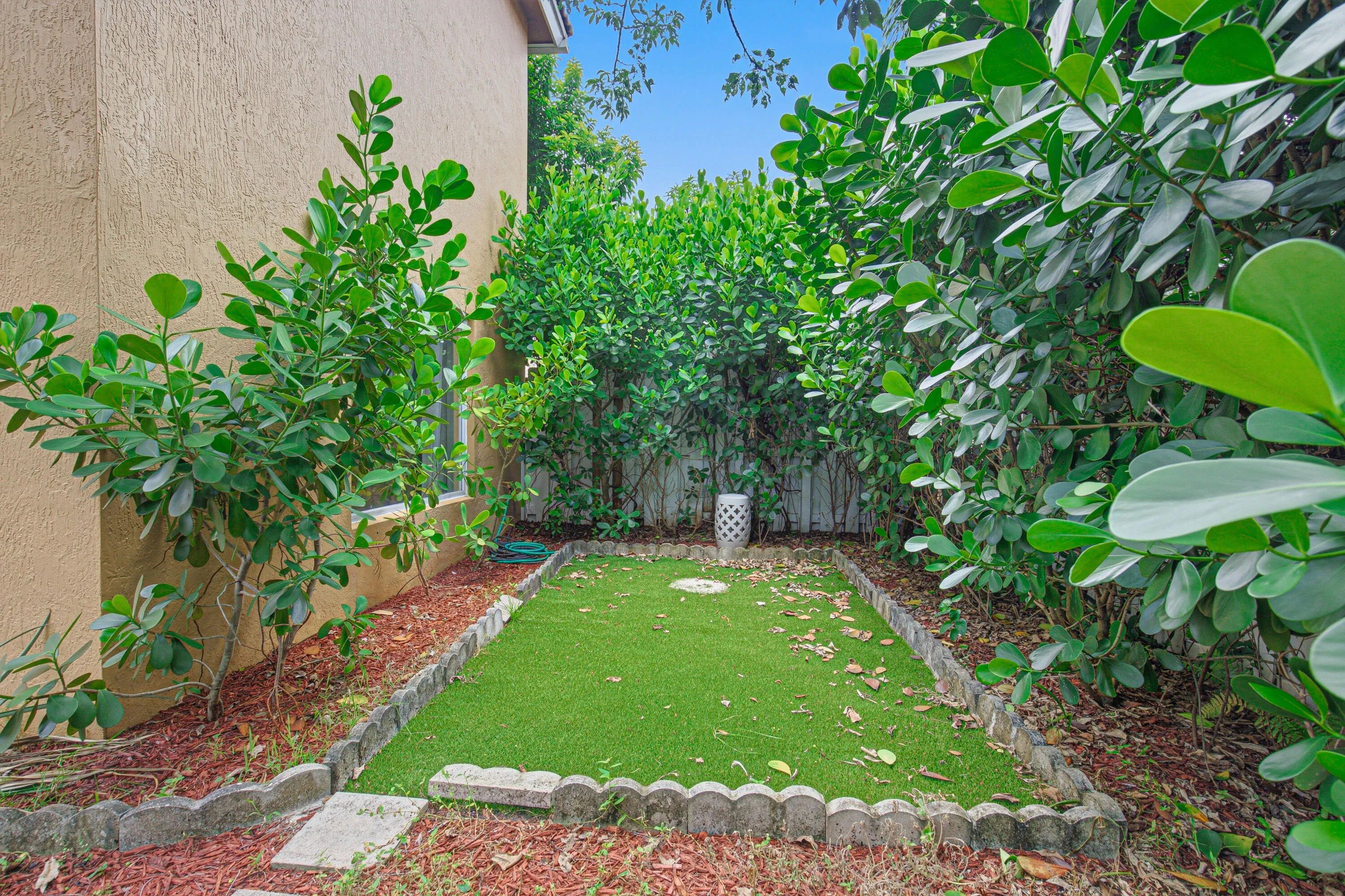 Backyard