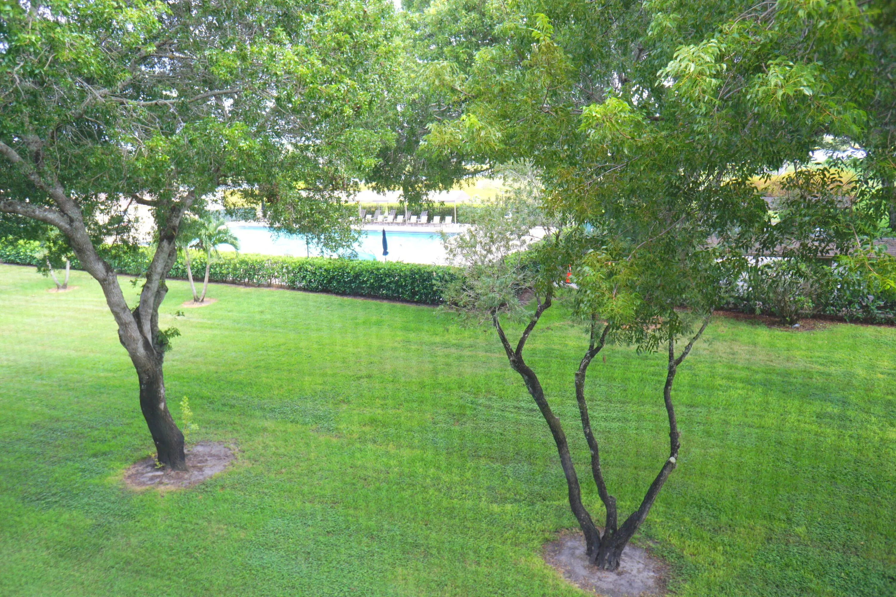 DSC04398-001