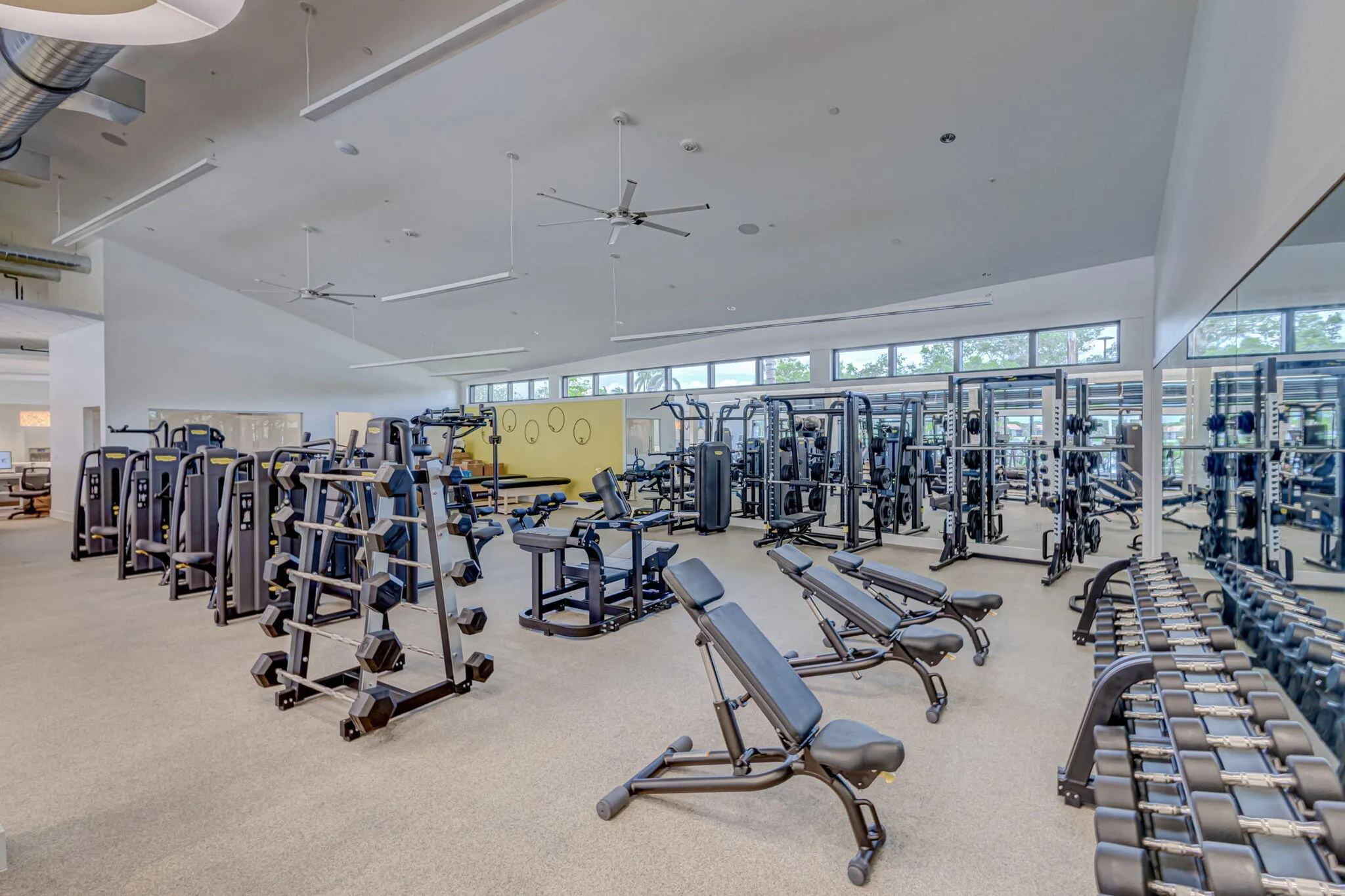 gym