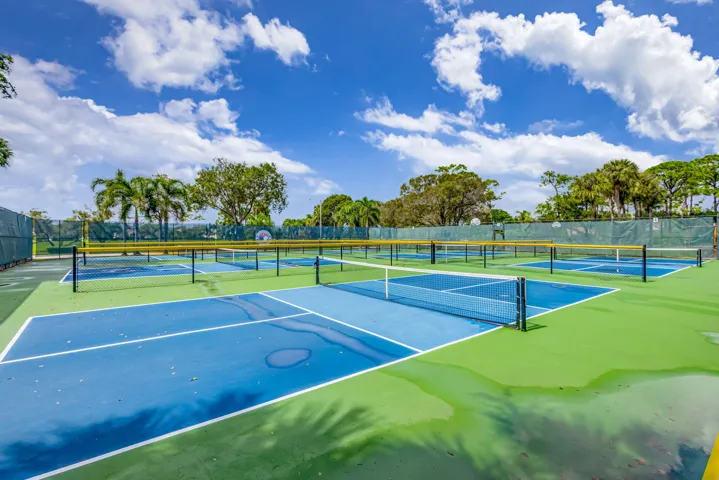 pickle ball 3