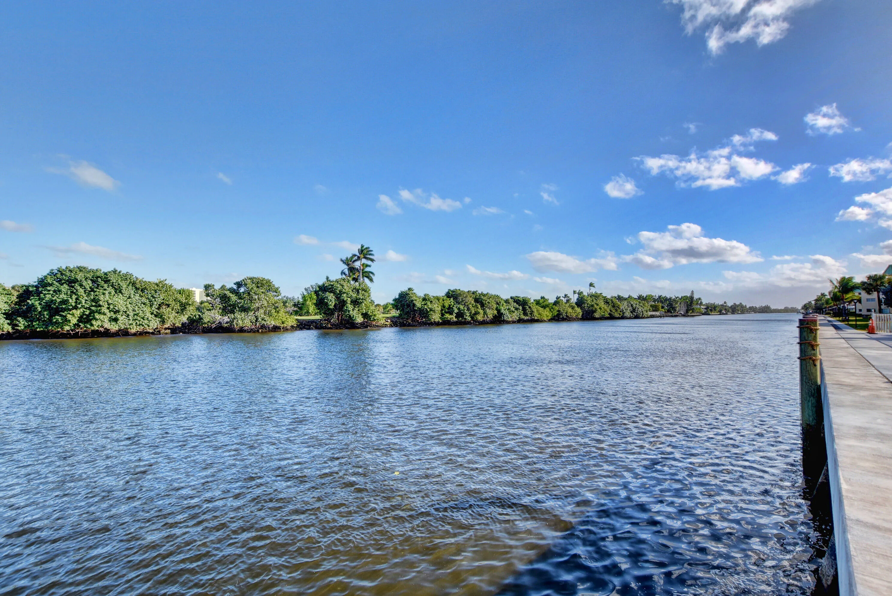 4-web-or-mls-5D1A8425