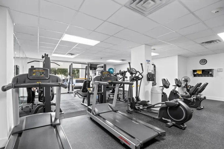 1 of 2 gyms