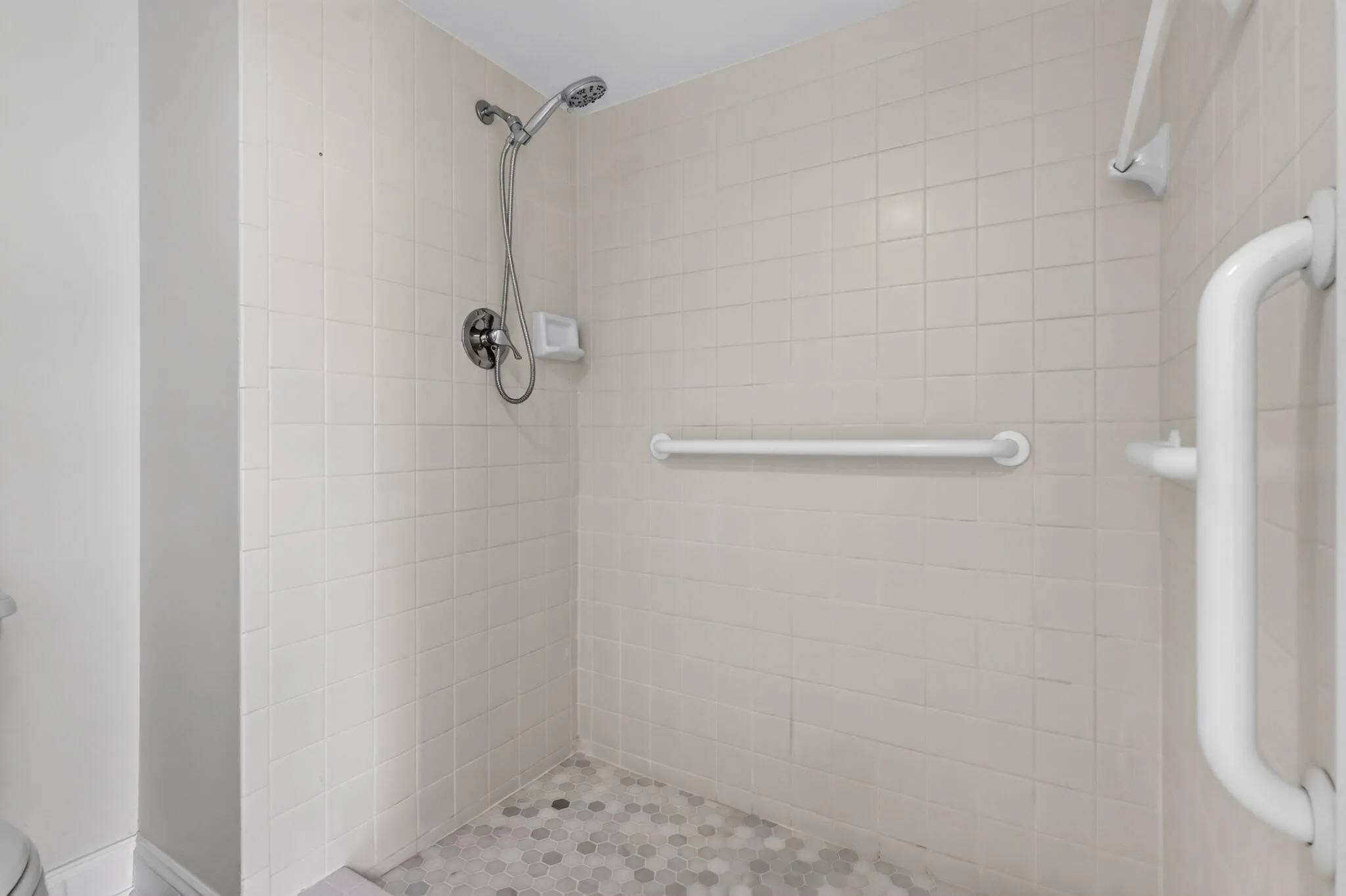 Master bathroom- Walk in shower