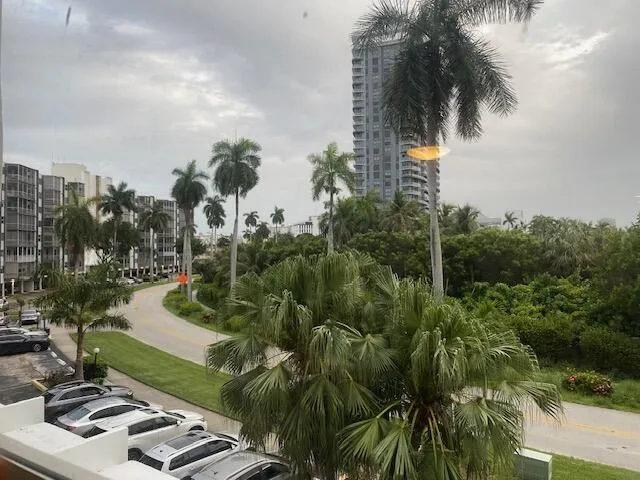 Tropical landscaping with mature palm trees frames the surrounding buildings, including a high-rise structure in the background