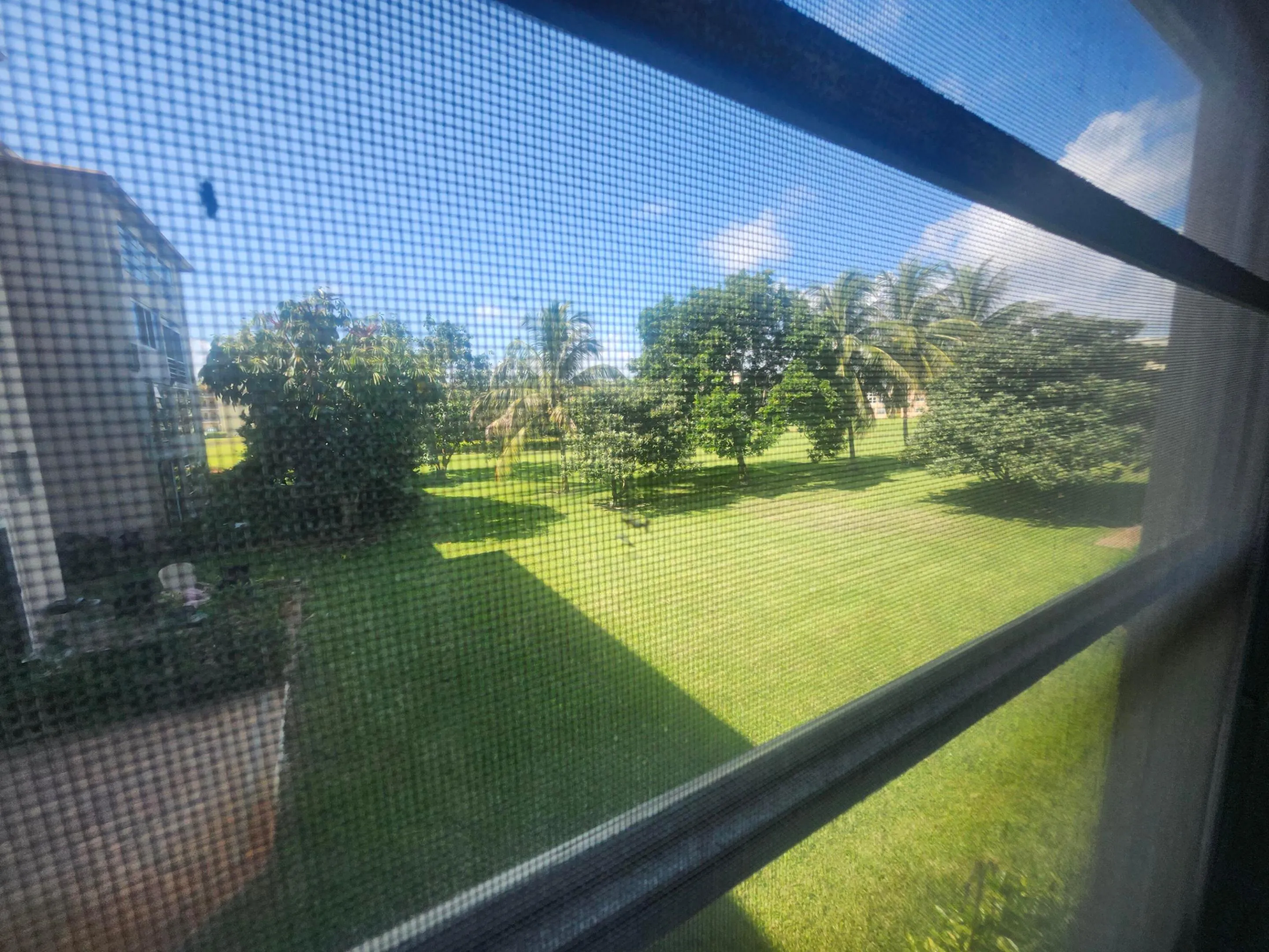 View from Florid Room