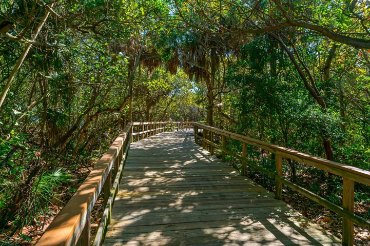 Beach Walkway