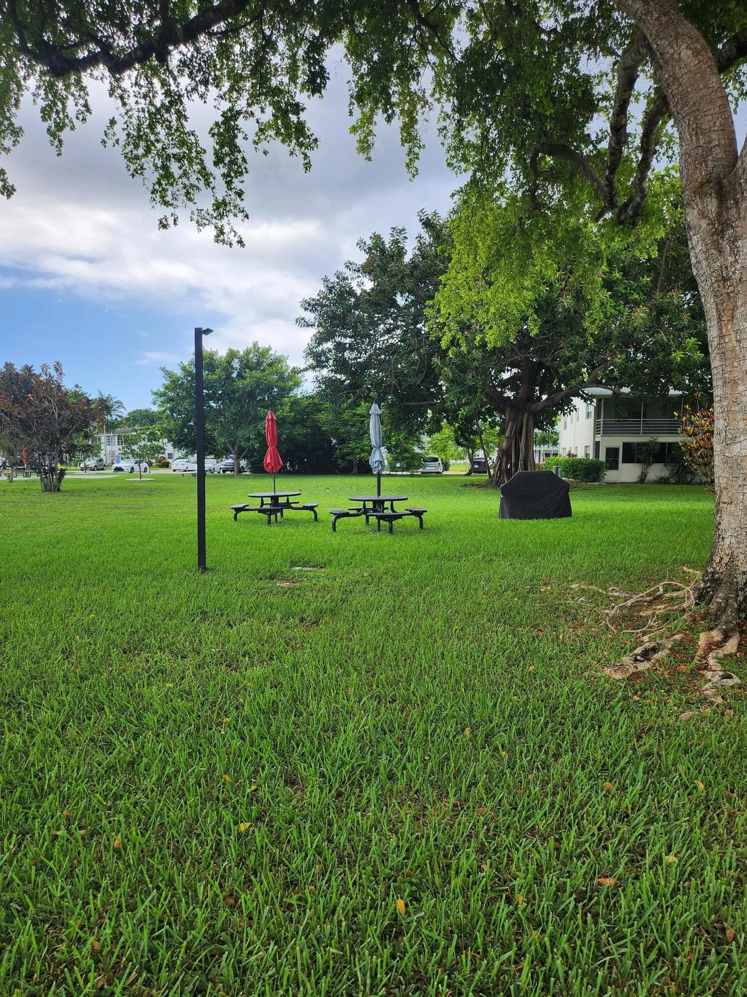 74 Newport E Deerfield barbecue