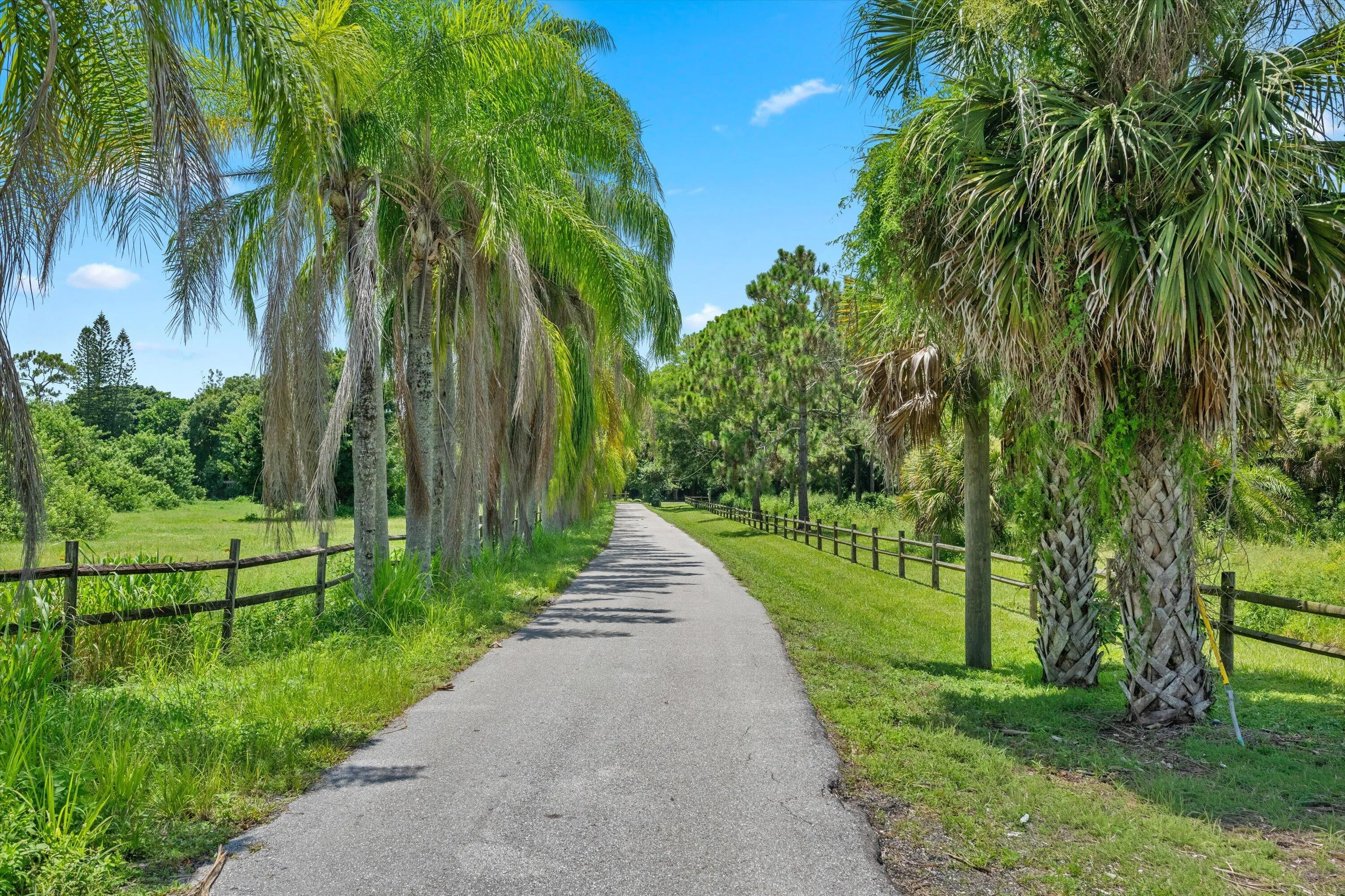Driveway