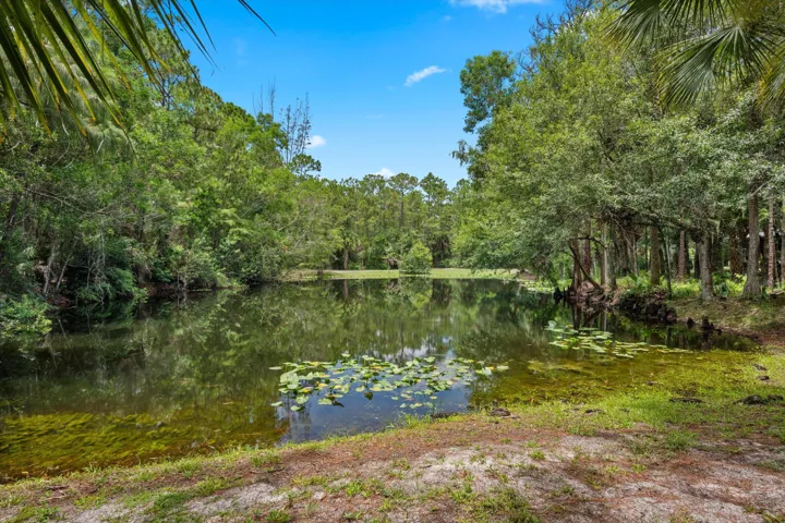 Beautiful Pond