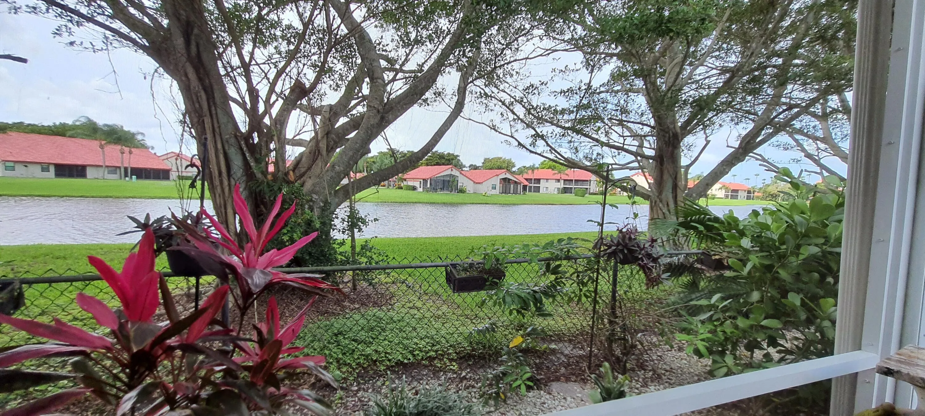 Waterfront setting featuring mature trees and lush landscaping