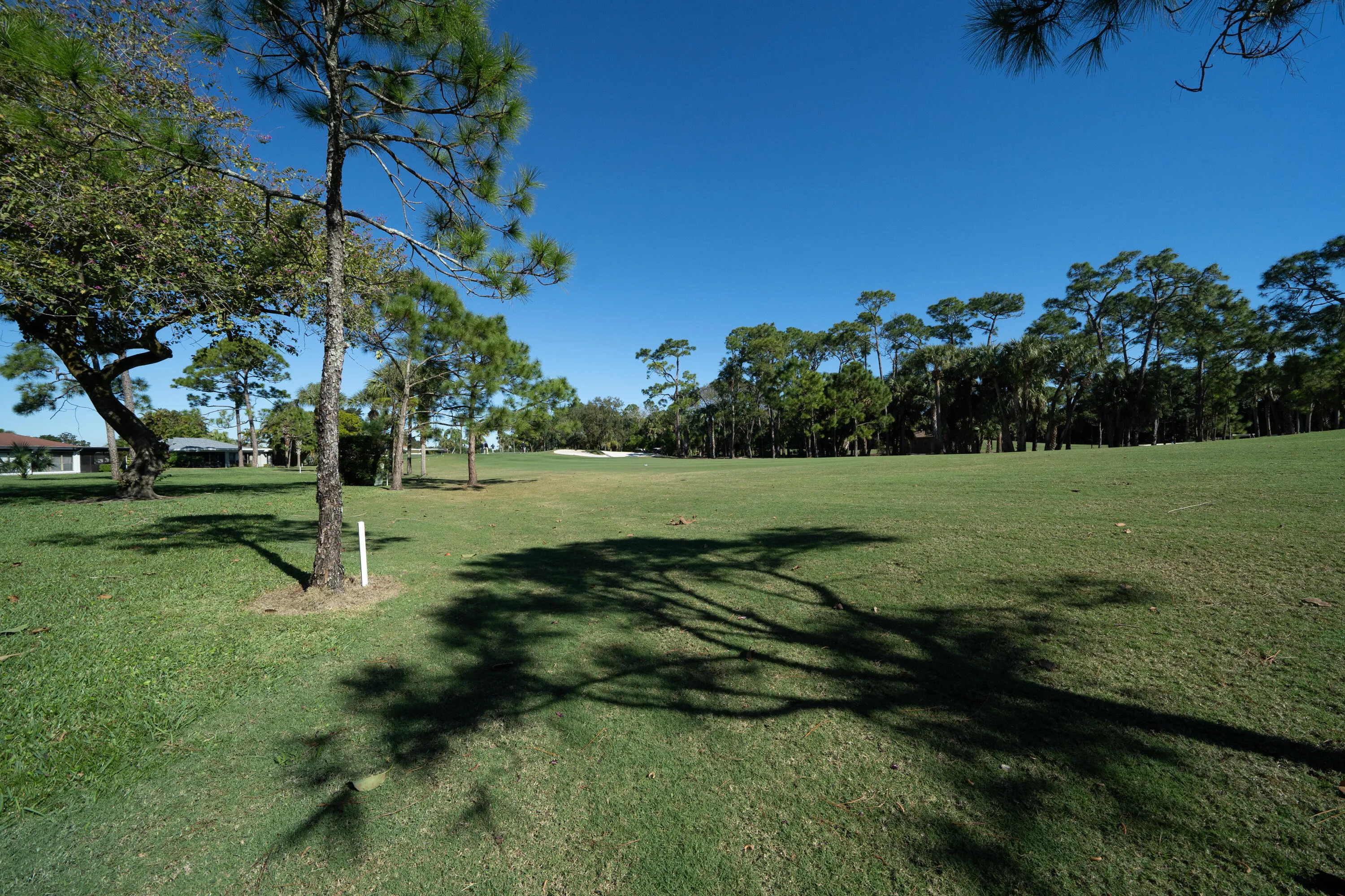 Golf Views
