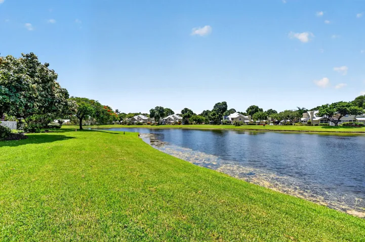 Backyard Lawn