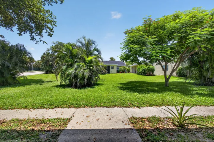 Wide View of Property
