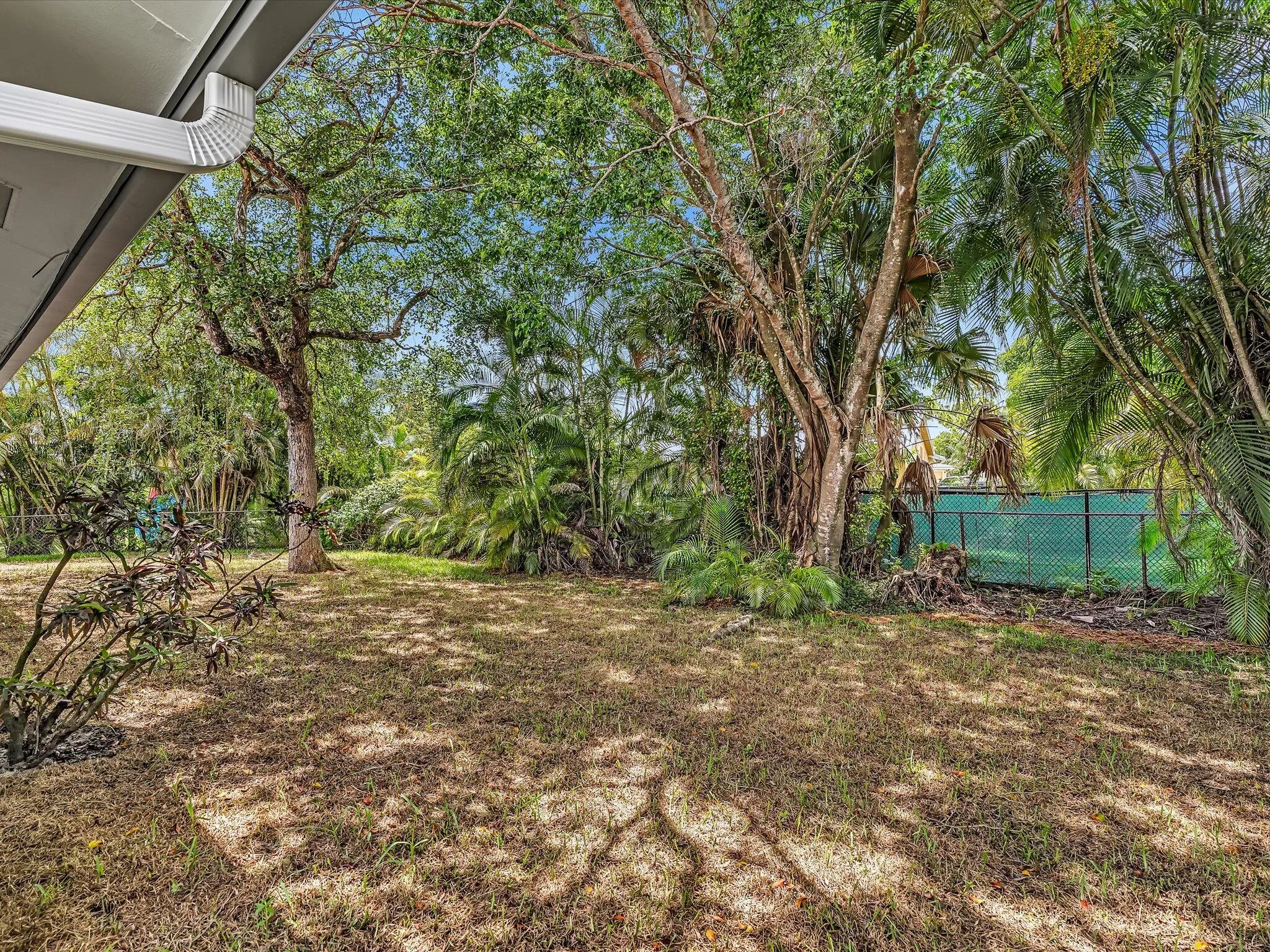 Yard