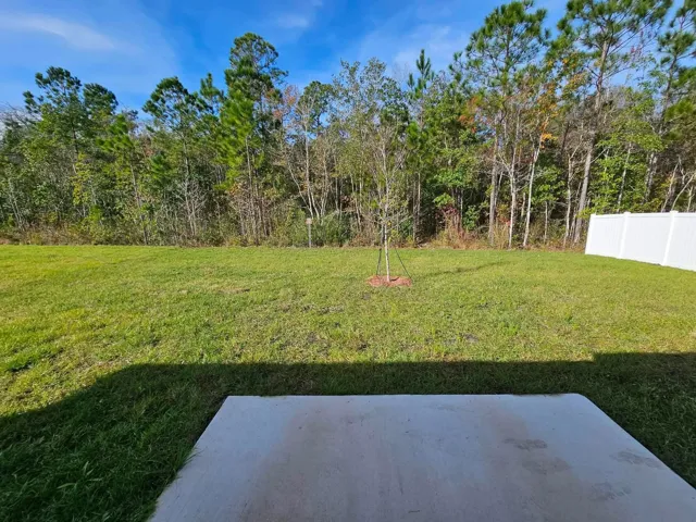 Backyard views
