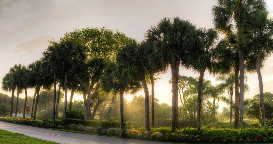 72-web-or-mls-Boca West CC Golf c4-road