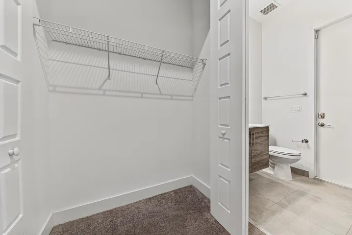 Downstairs Bedroom Closet