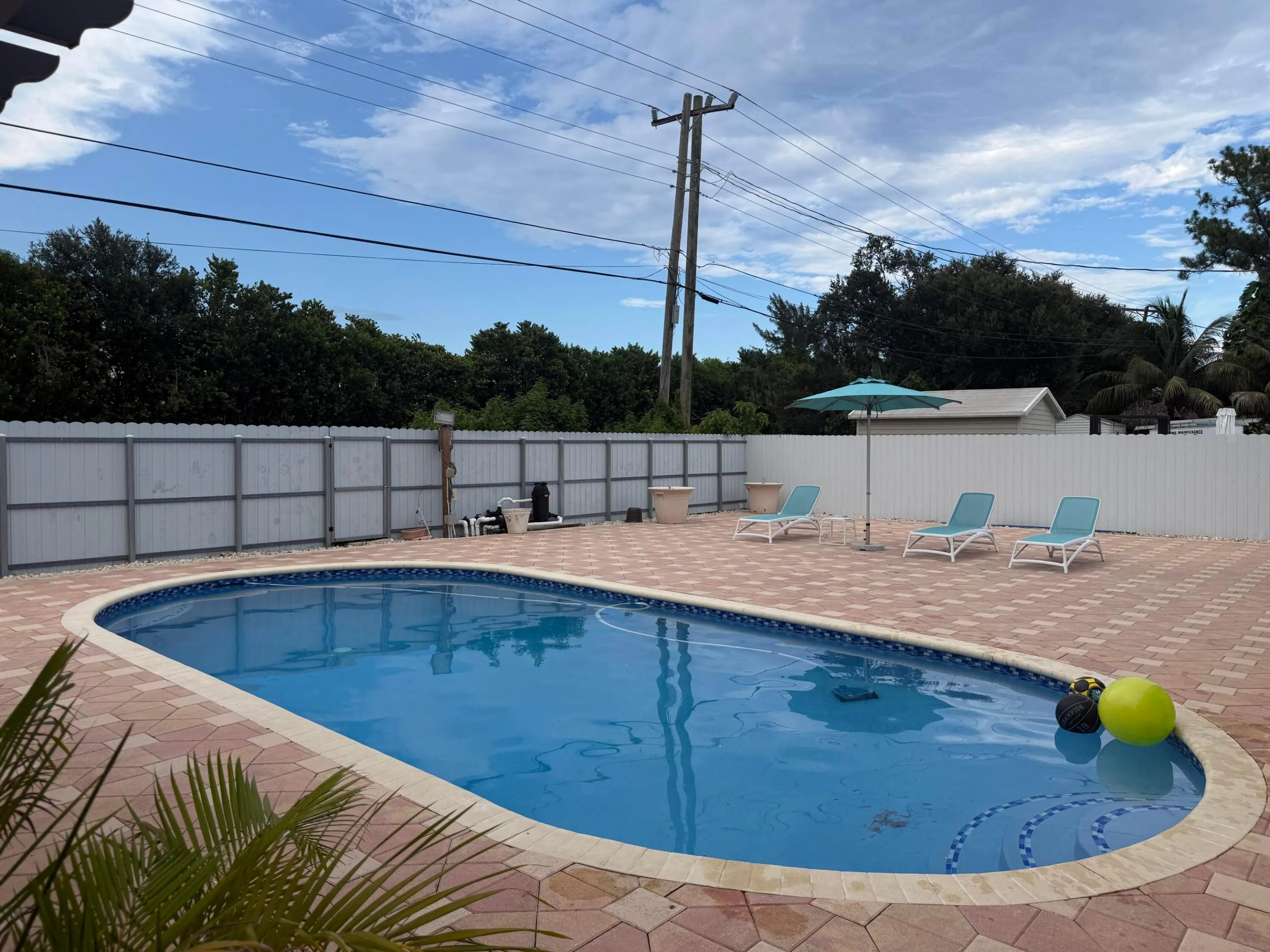 Pool/Backyard