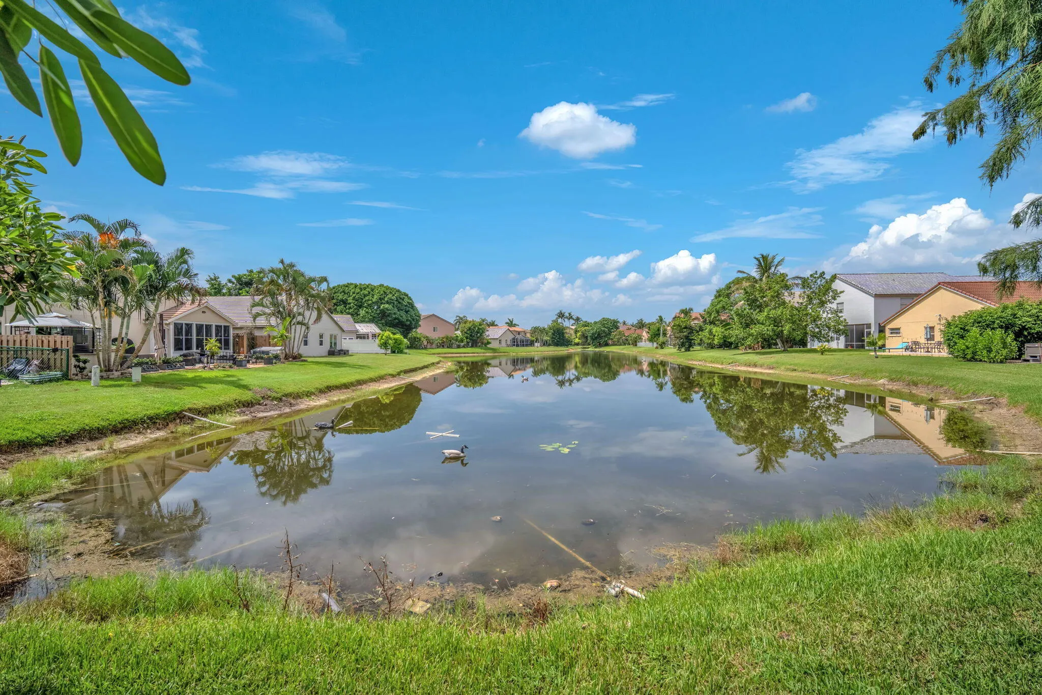 63-web-or-mls-DSC03863