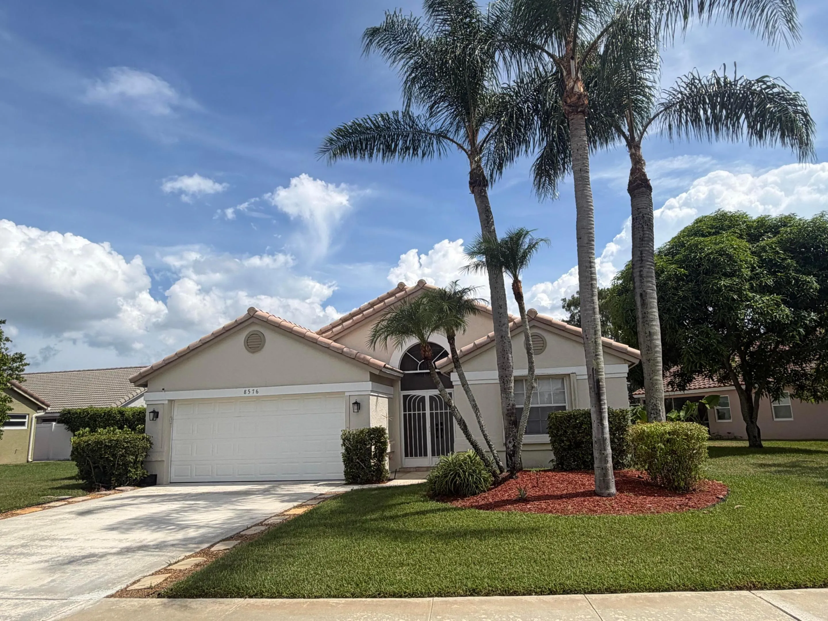 19-web-or-mls-DSC03851