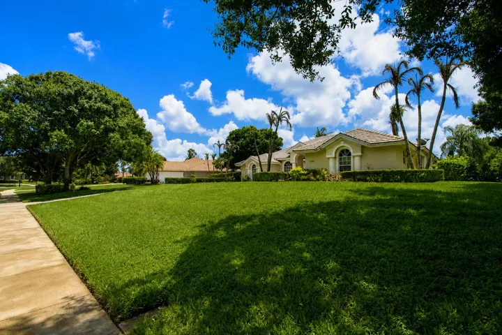 Front Yard