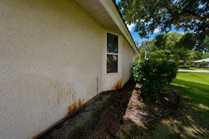 Side Yard