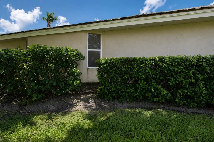 Side Yard